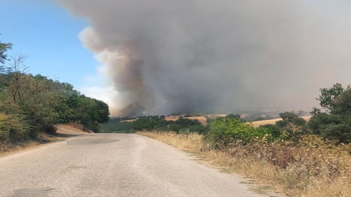 Balıkesir’de arazi yangını