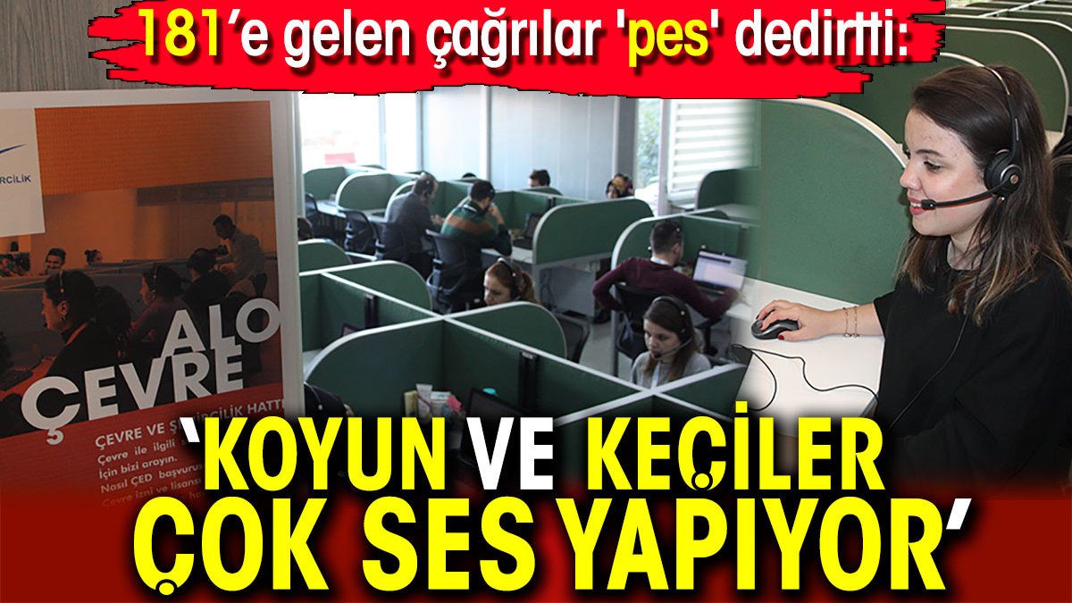 181’e gelen çağrılar 'pes' dedirtti: Koyun ve keçiler çok ses yapıyor