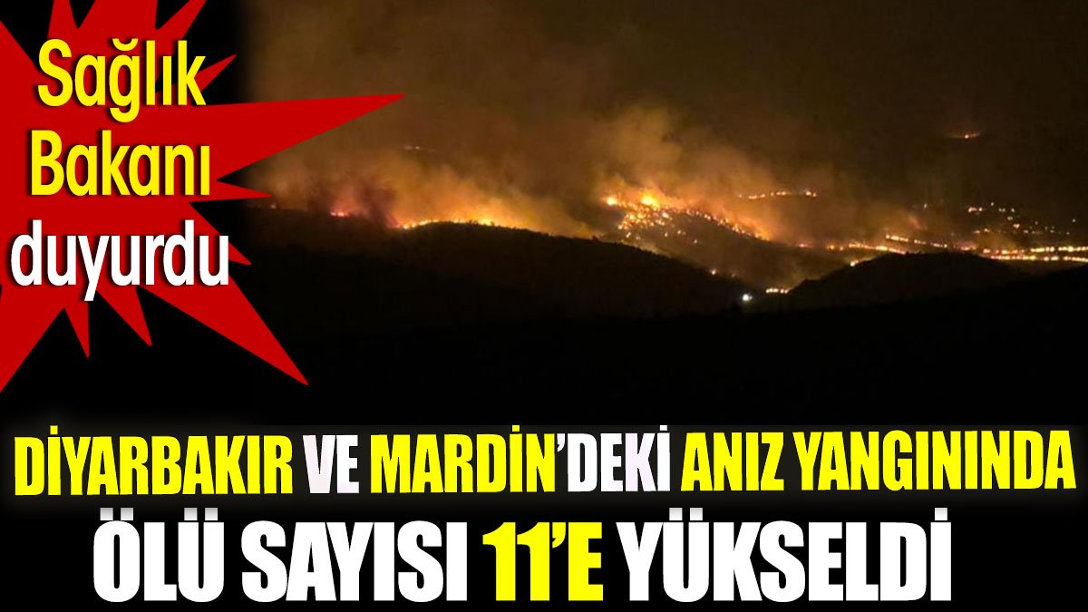 Son dakika... Diyarbakır ve Mardin'deki anız yangınında ölü sayısı 11'e yükseldi