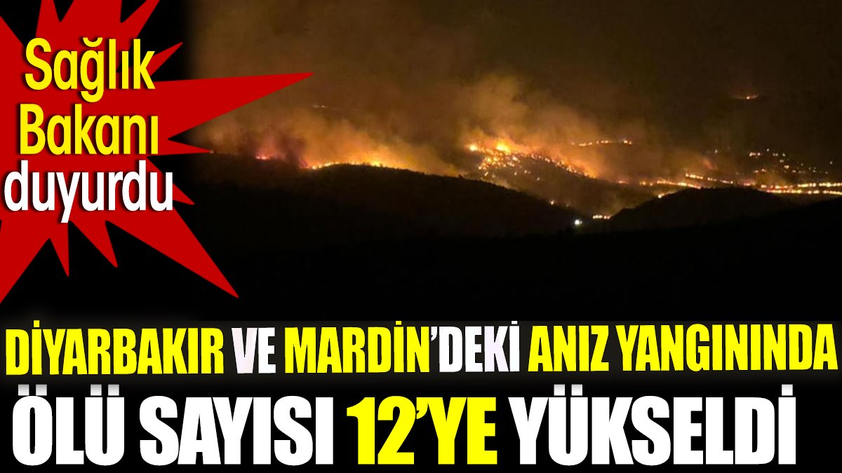 Son dakika... Diyarbakır ve Mardin'deki anız yangınında ölü sayısı 12'ye yükseldi