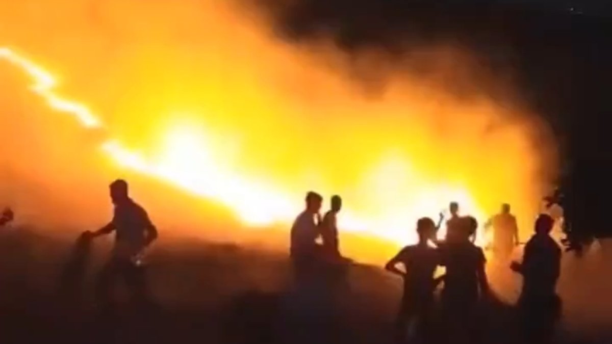 Mardin'de bir orman yangını daha çıktı