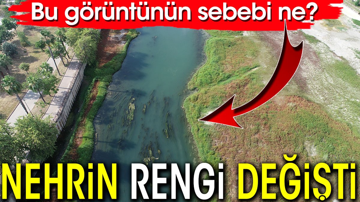 Seyhan Nehri’nin rengi değişti. Bu görüntünün sebebi ne?