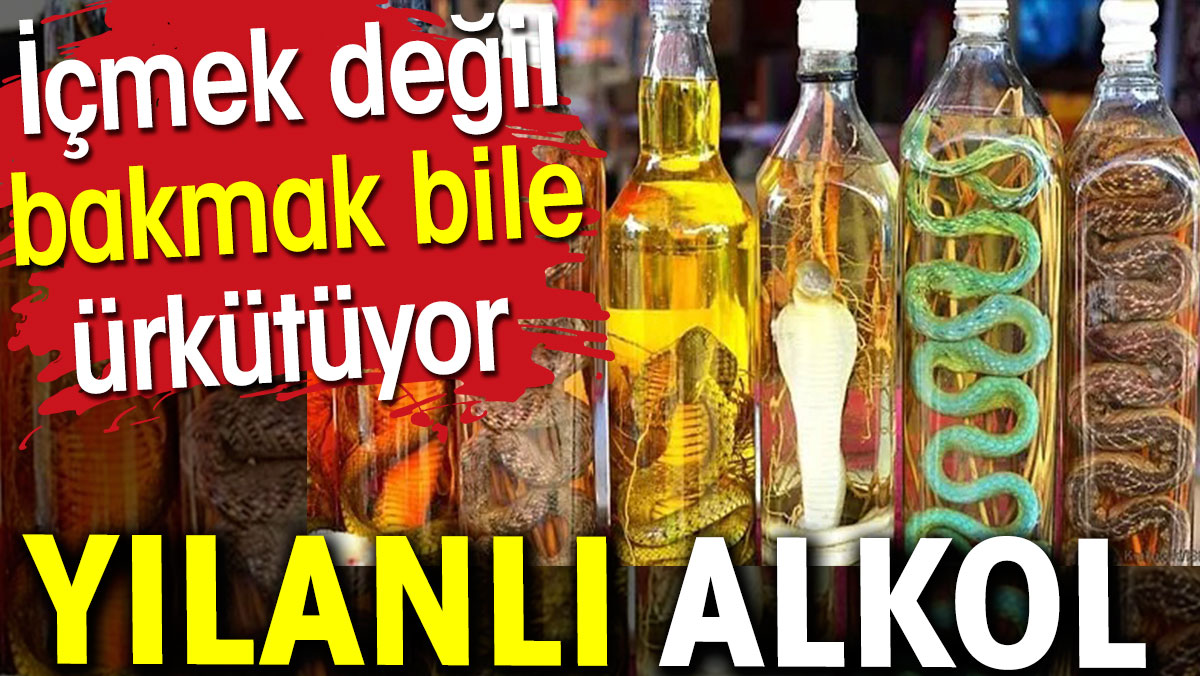 Yılanlı alkol. İçmek değil bakmak bile ürkütüyor