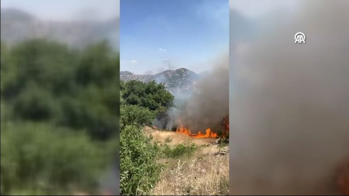 Bingöl'deki orman yangını söndürüldü