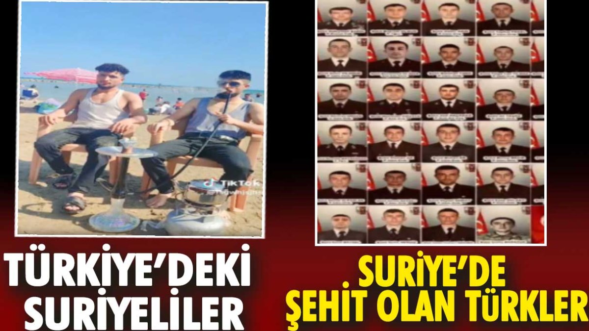Türkler Suriye'de şehit olurken Türkiye'de Suriyeliler nargile keyfinde