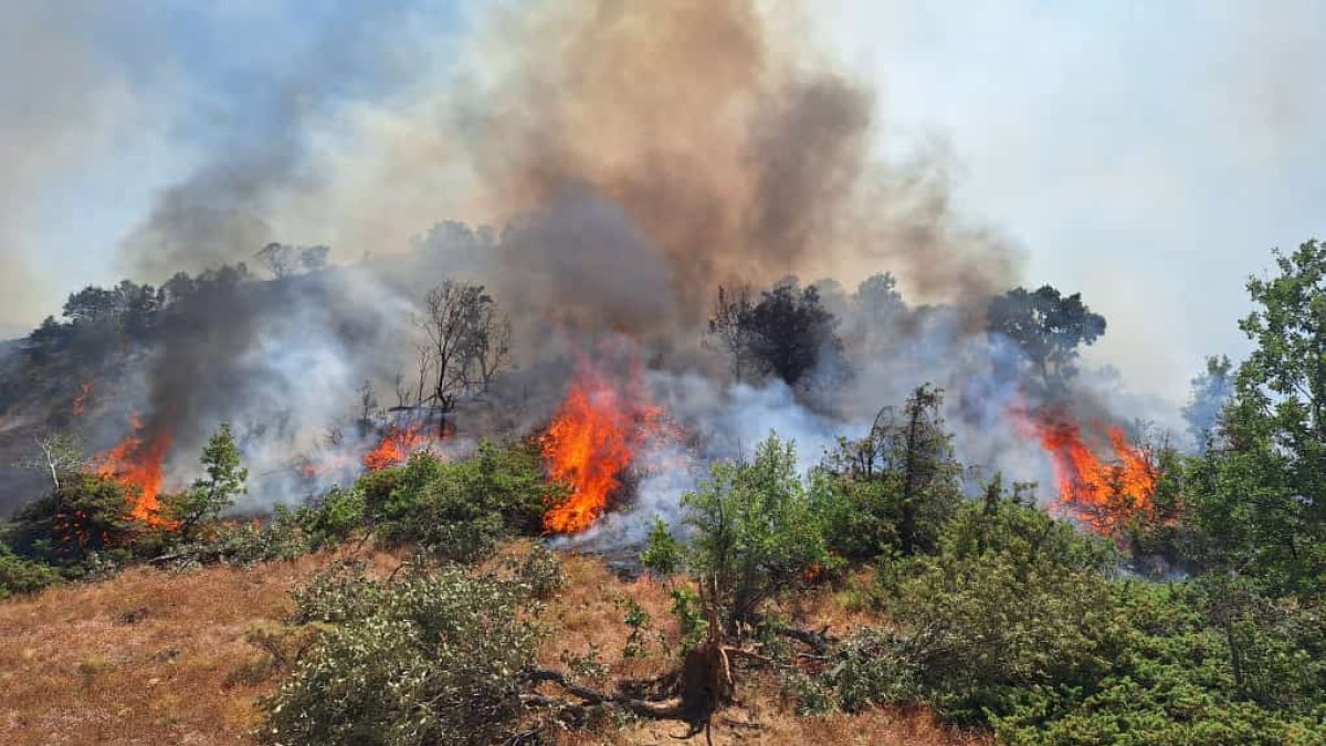 Bingöl'ün Genç ve Kiğı ilçelerinde orman yangını