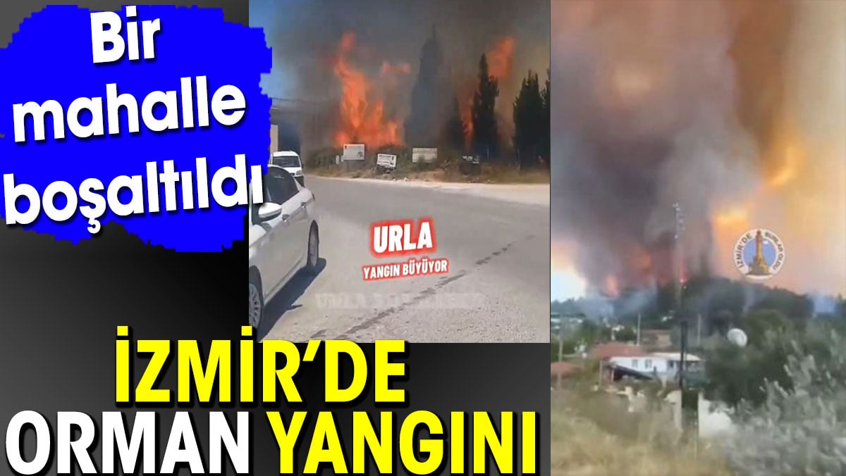 İzmir’de orman yangını. Bir mahalle boşaltıldı