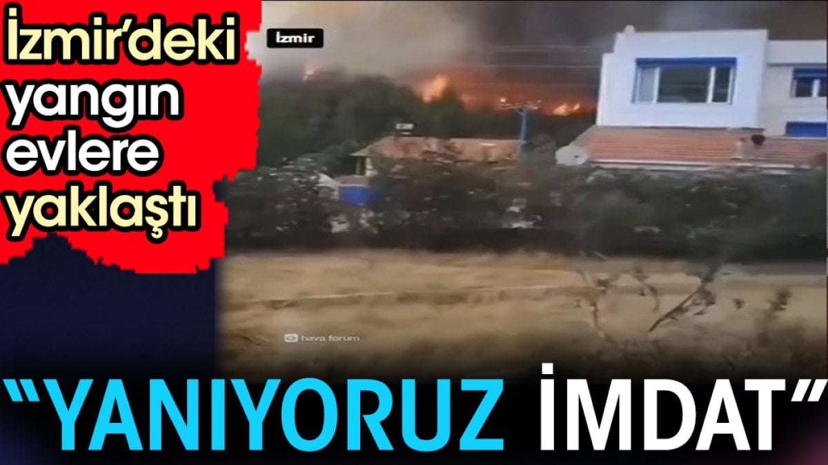 İzmir’deki yangın evlere yaklaştı. ‘Yanıyoruz imdat’