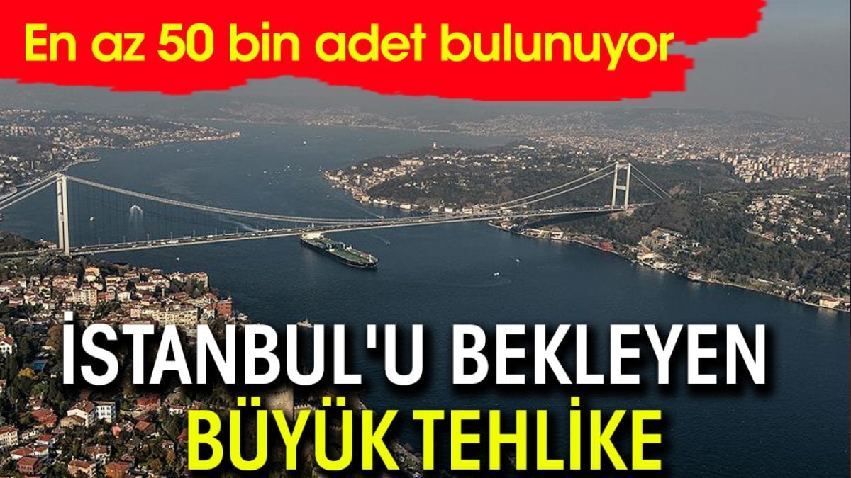 İstanbul'u bekleyen büyük tehlike: En az 50 bin tane bulunuyor
