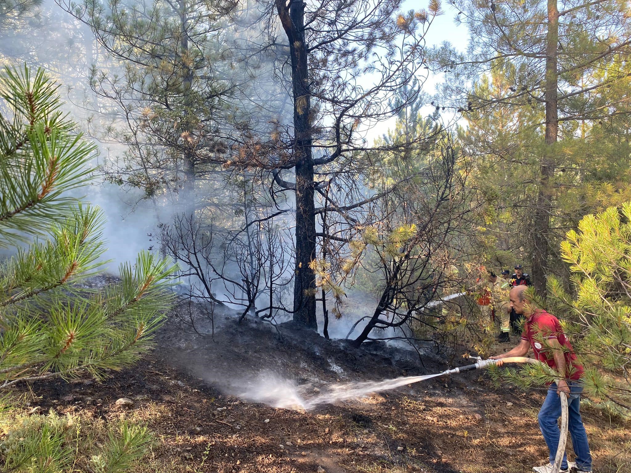 Kütahya'daki orman yangını söndürüldü