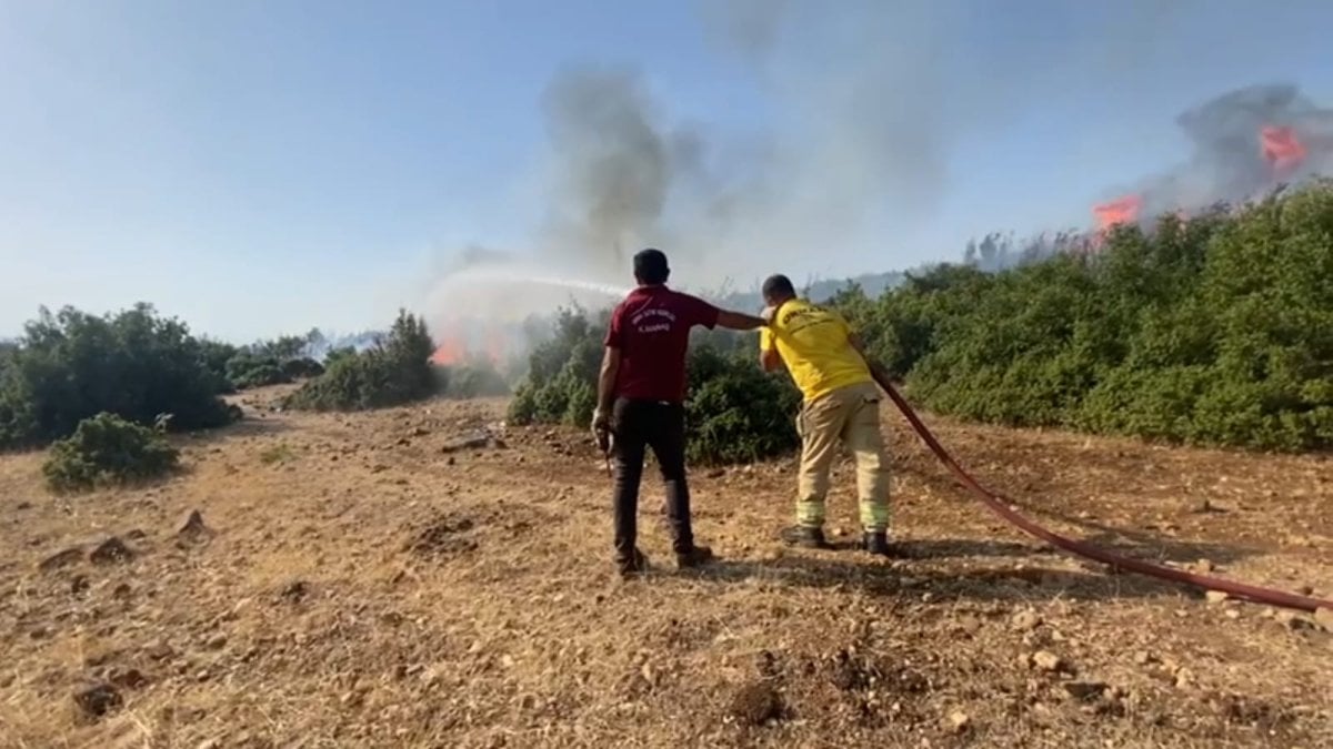 Kahramanmaraş’ta yangın