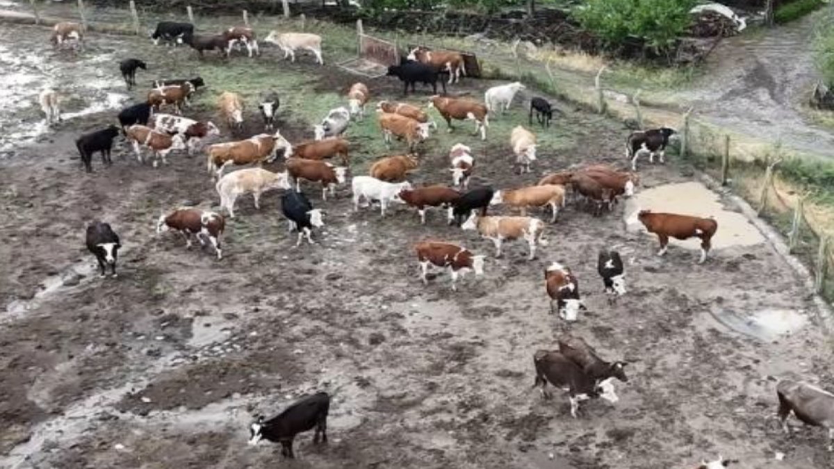 Şiddetli yağış ve dolu ortalığı yıktı geçti: 'Hayatımda böyle dolu görmedim'