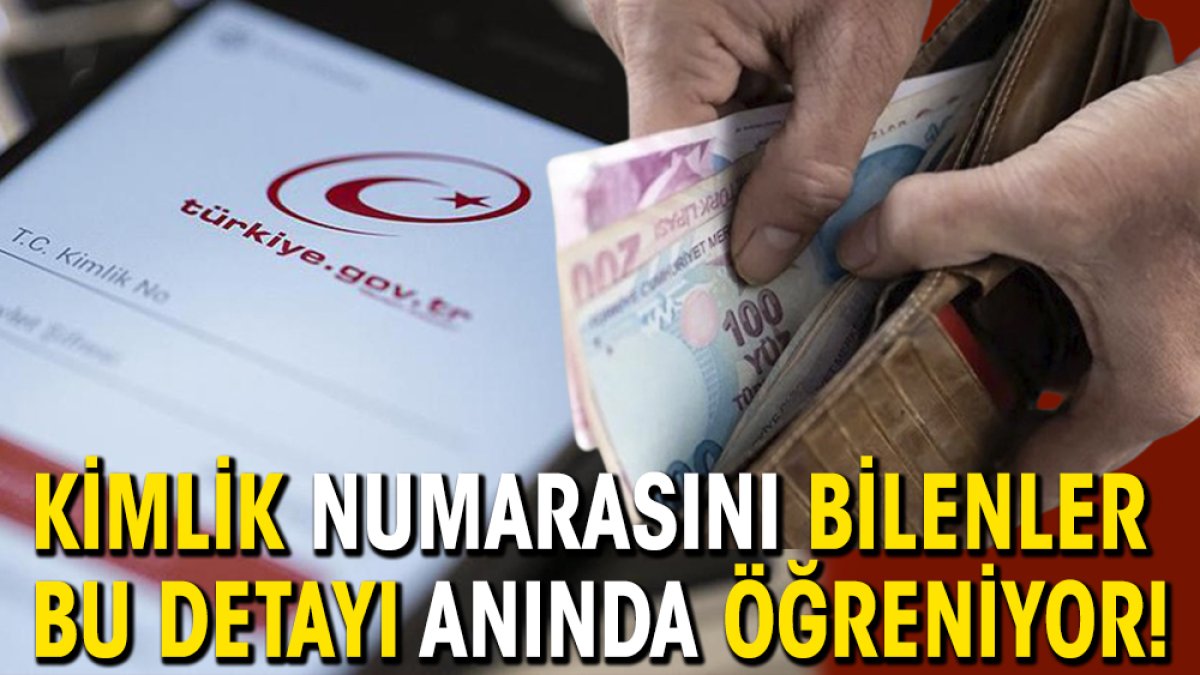 Kimlik numarasını bilenler bu detayı anında öğreniyor!