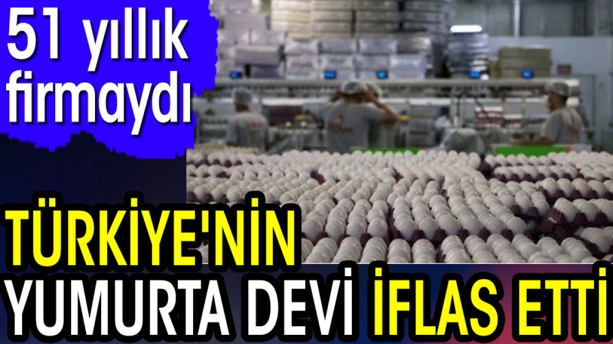 Türkiye'nin yumurta devi iflas etti. 51 yıllık firmaydı