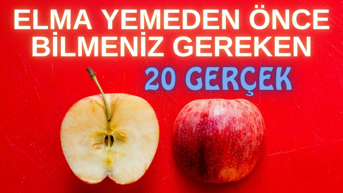 Elma yemeden önce bilmeniz gereken 20 gerçek