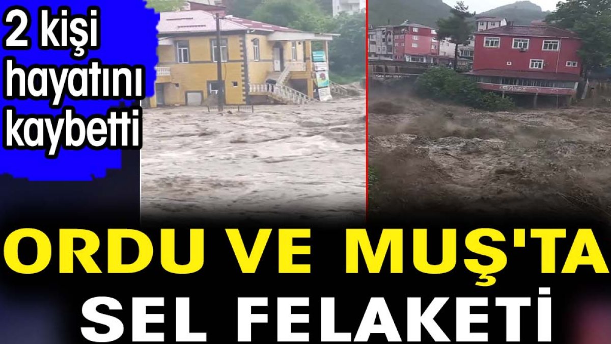 Ordu ve Muş'ta sel felaketi. 2 kişi hayatını kaybetti