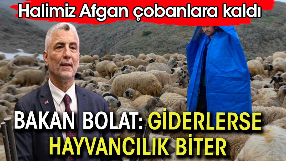 Ticaret Bakanı Bolat: Afganlar giderse hayvancılık biter