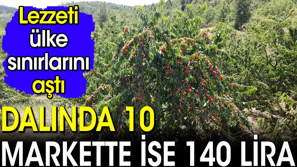 Lezzeti ülke sınırlarını aştı dalında 10 markette 140 TL