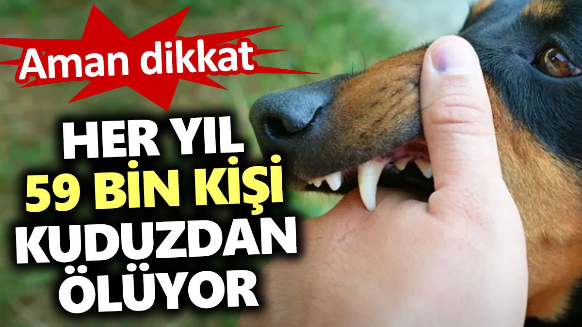 Dünyada her yıl 59 bin kişi kuduzdan ölüyor