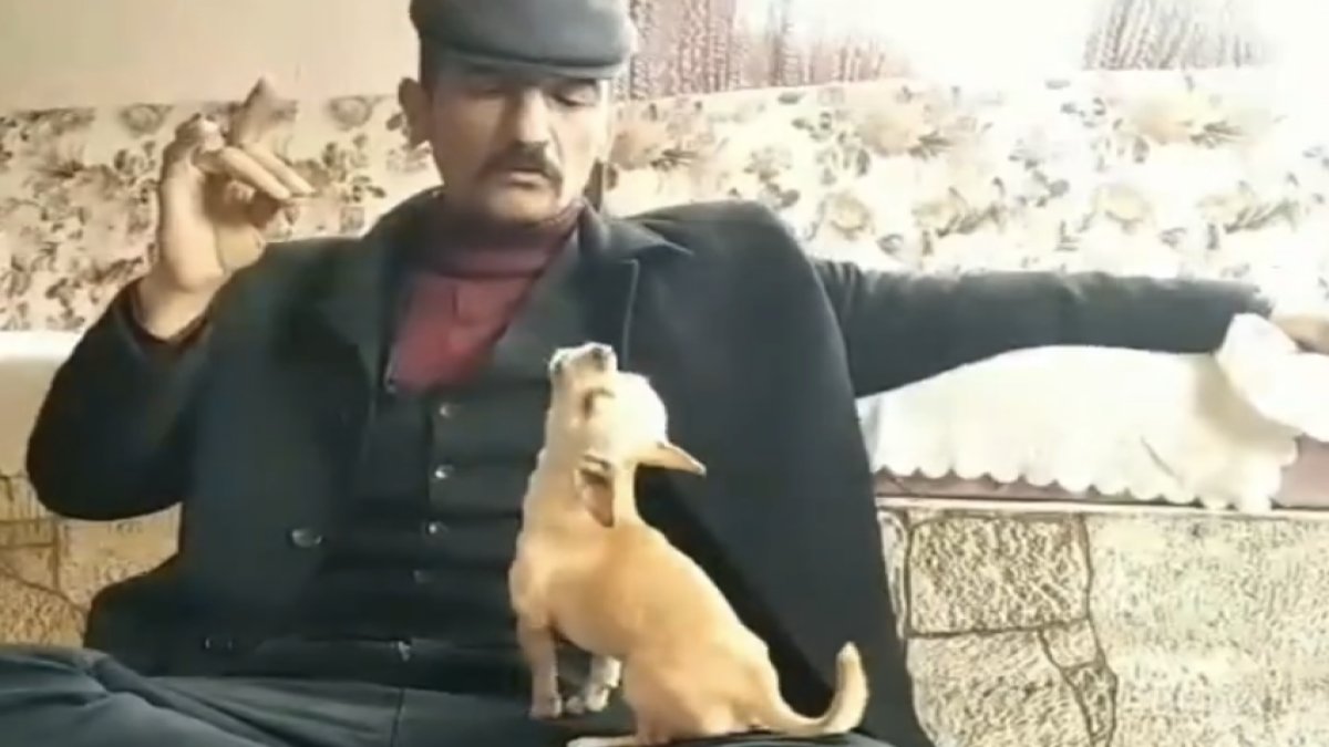 Küçük süs köpeğine bozkurt işaretini gösterip ulumayı öğretti