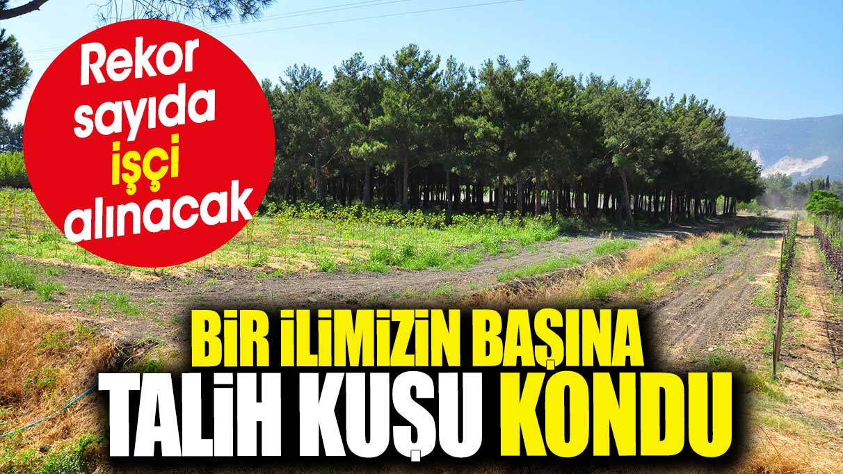 Bir ilimizin başına talih kuşu kondu. Rekor sayıda işçi alınacak