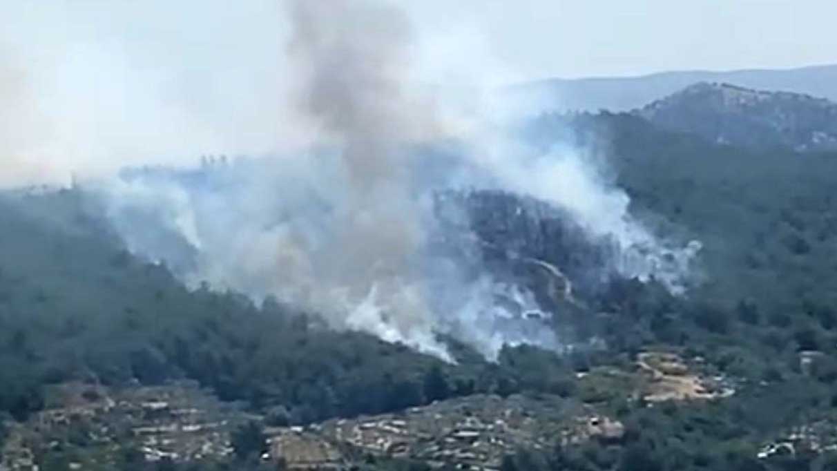 İzmir'de orman yangını