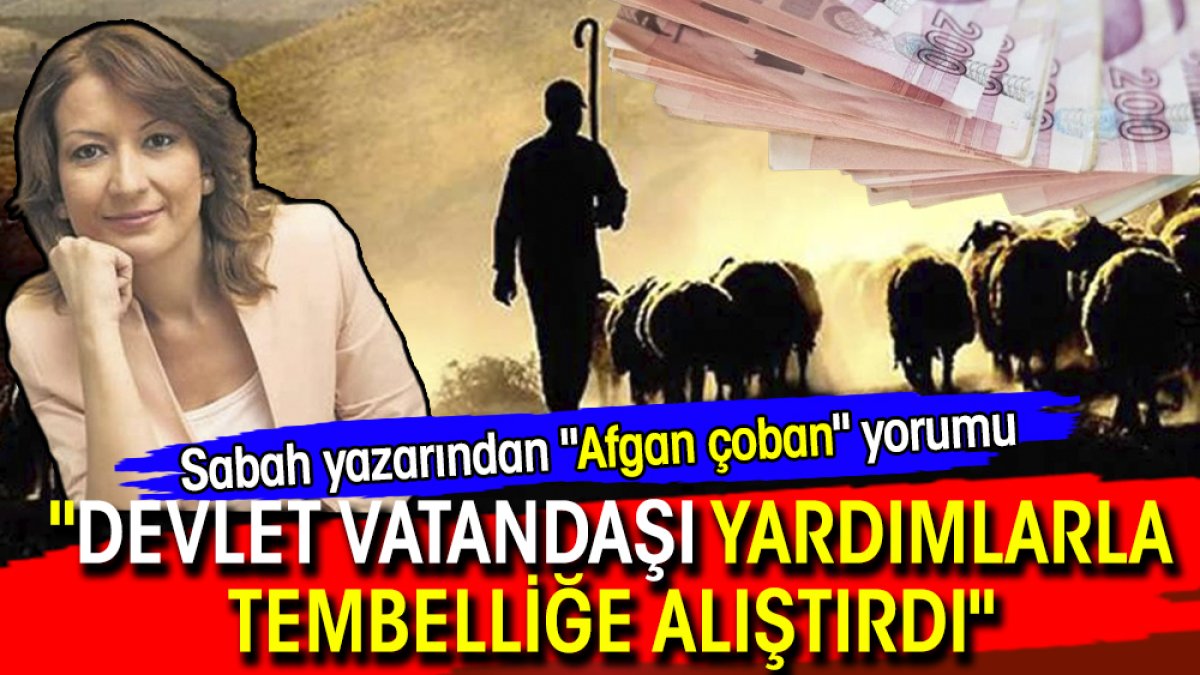 Sabah yazarından "Afgan çoban" yorumu: "Devlet vatandaşı yardımlarla tembelliğe alıştırdı"