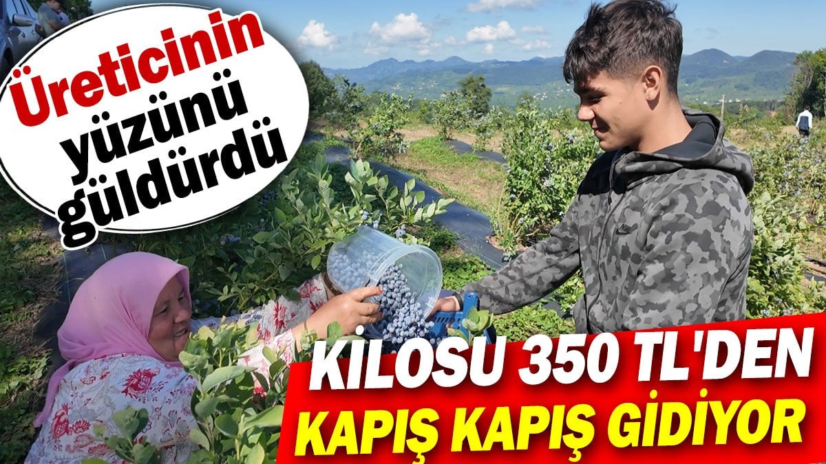 Kilosu 350 TL'den kapış kapış gidiyor! Bol kazancıyla üreticinin de yüzünü güldürdü