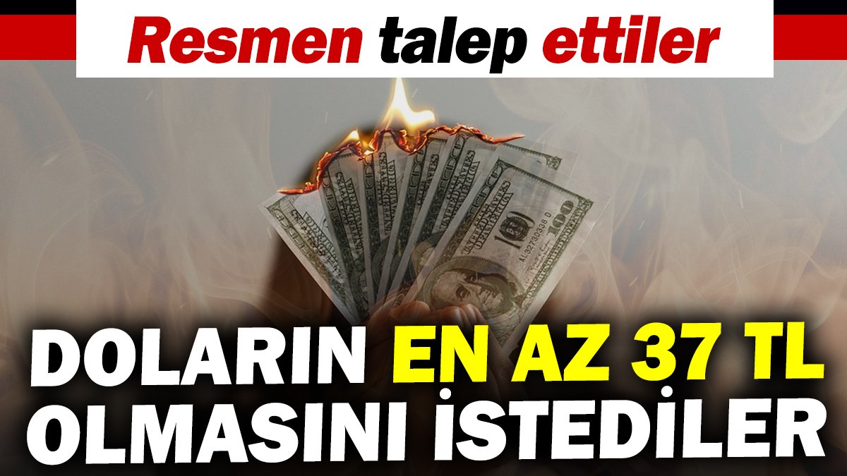 Doların en az 37 TL olmasını istediler. Resmen talep ettiler