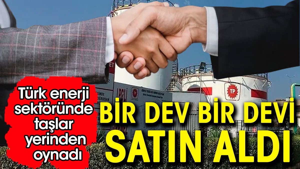 Bir dev bir devi satın aldı.  Türk enerji sektöründe taşlar yerinden oynadı