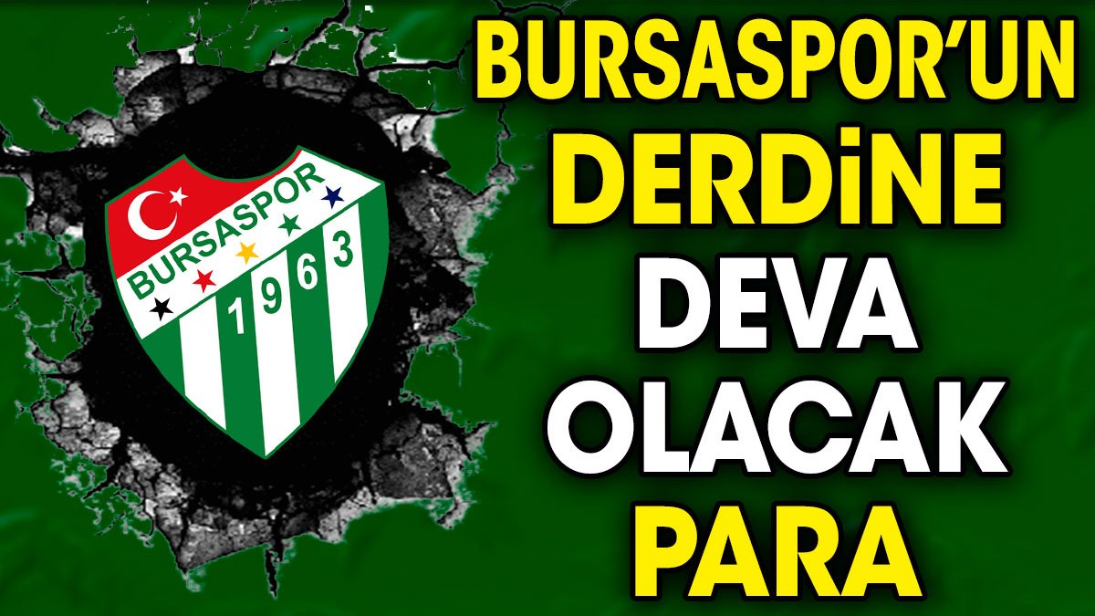 Bursaspor'un derdine deva olacak para