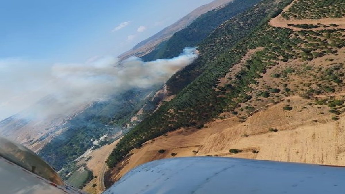 Balıkesir'de orman yangını