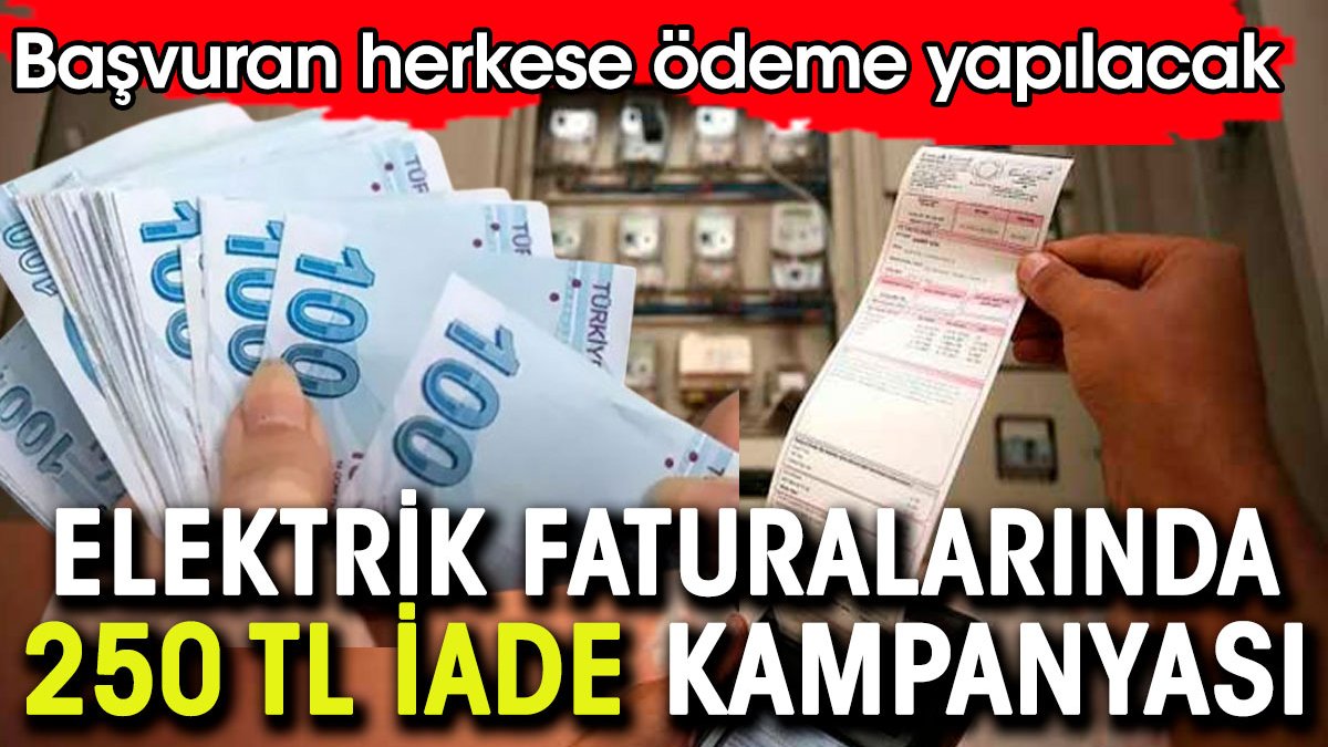 Elektrik faturalarında 250 lira iade kampanyası. 31 Temmuz'a kadar başvuran herkese ödenecek