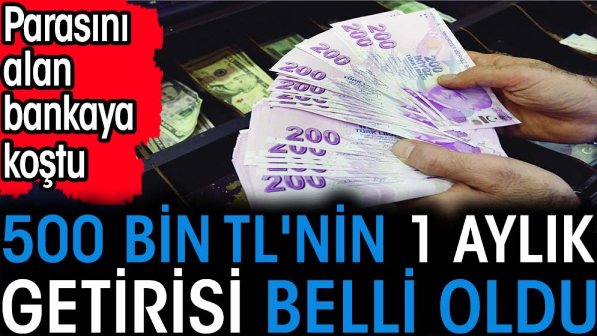 500 bin TL'nin 1 aylık getirisi belli oldu. Parasını alan bankaya koştu