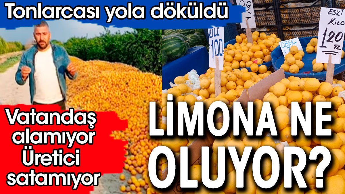 Limonda neler oluyor. Vatandaş alamıyor, üretici satamıyor