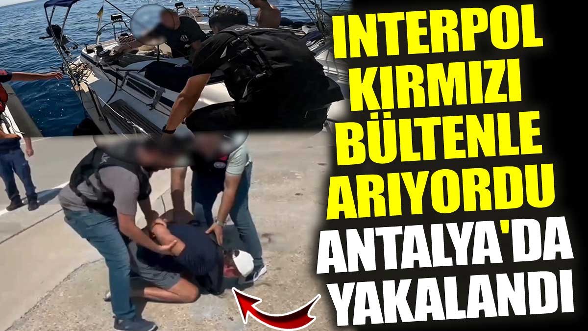 Interpol'ün kırmızı bültenle aradığı Rus vatandaşı Antalya'da yakalandı