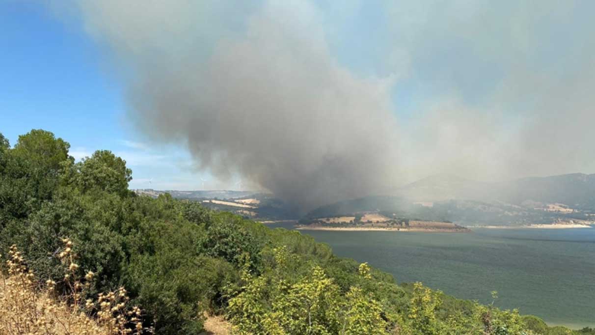 Çanakkale'de ormanlık alanda yangın