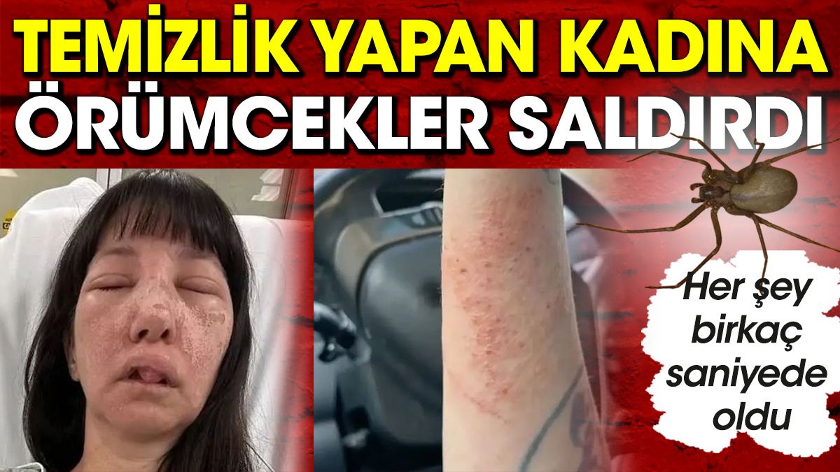 Temizlik yapan kadına örümcekler saldırdı. Her şey birkaç saniyede oldu