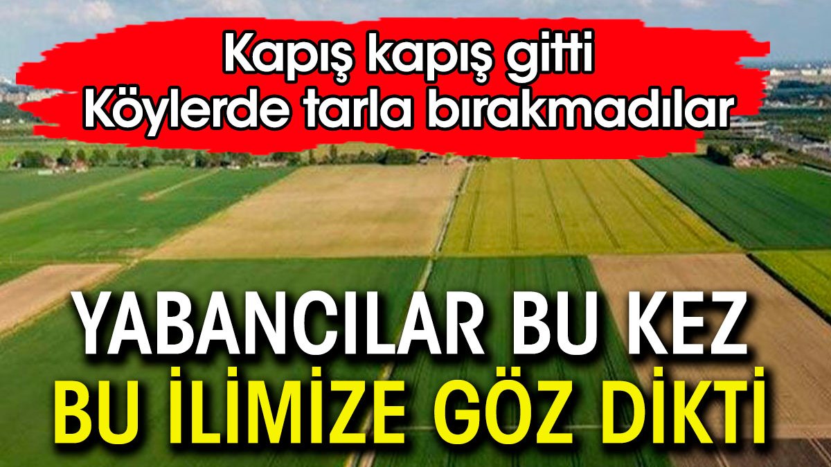 Yabancılar bu kez o ilimize göz dikti. Köylerde tarla bırakmadılar