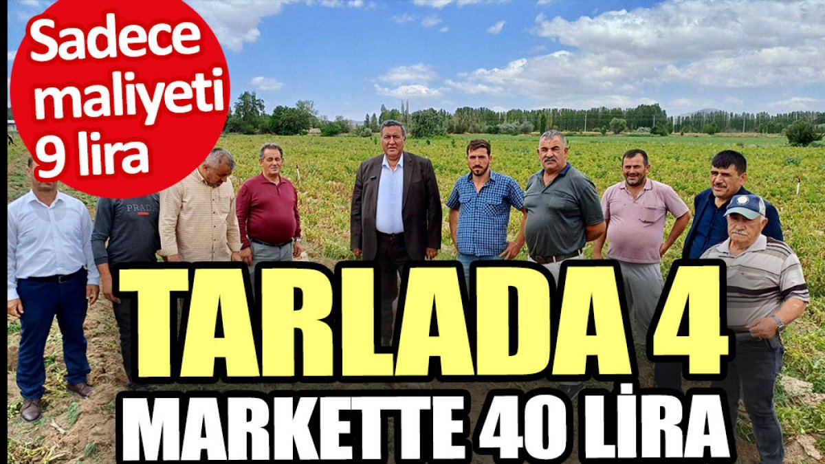 Maliyeti 9 tarlada 4 markette 40 lira