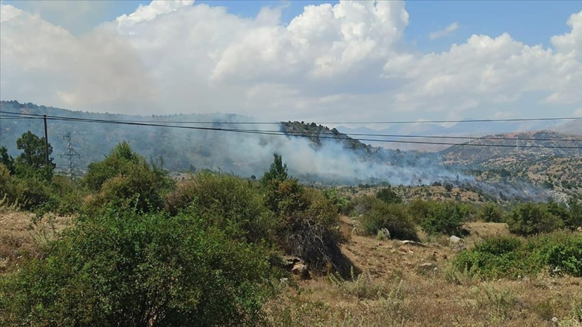 Kayseri'de orman yangını