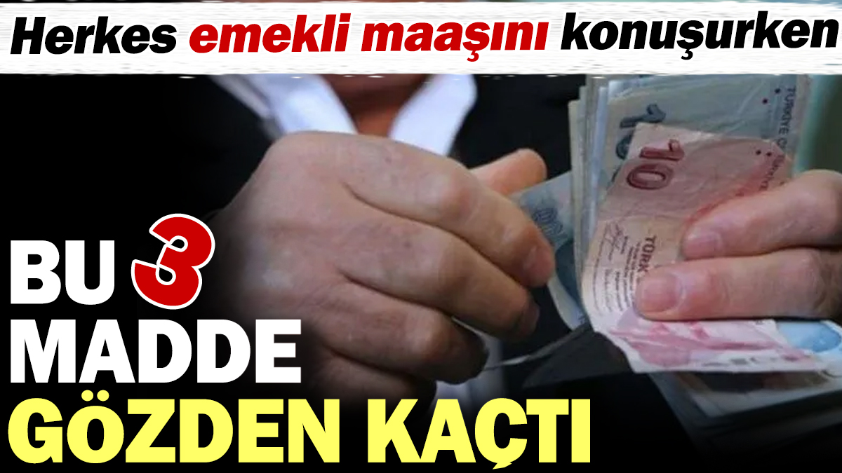 Herkes emekli maaşını konuşurken bu 3 madde gözden kaçtı