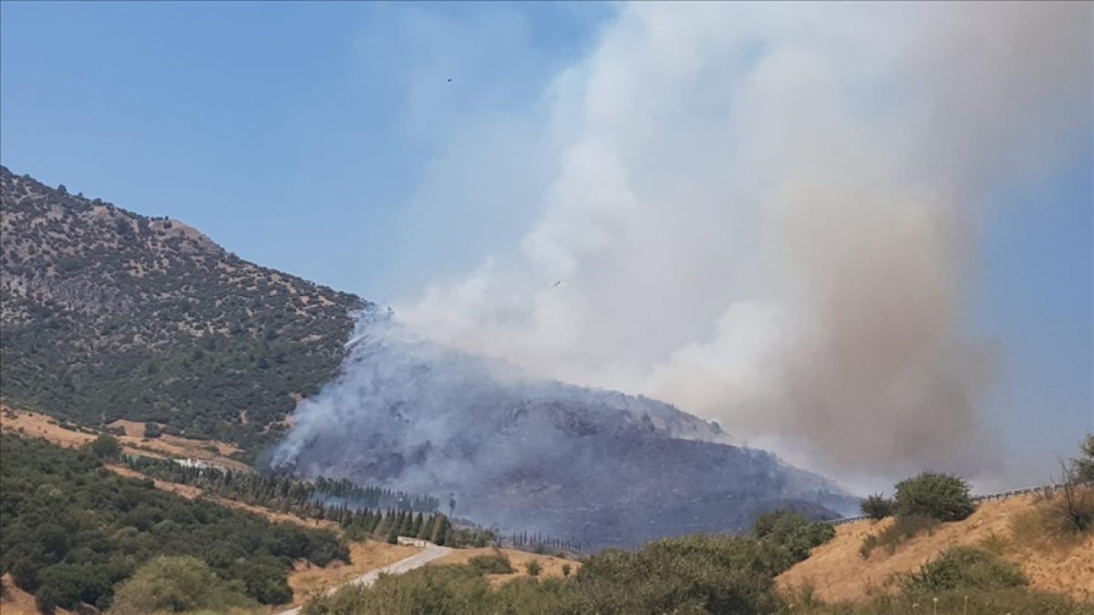 Selçuk’ta orman yangını. Havadan ve karadan müdahale sürüyor