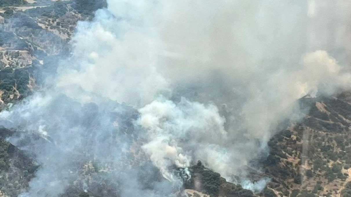 Turgutlu'da orman yangınına müdahale sürüyor