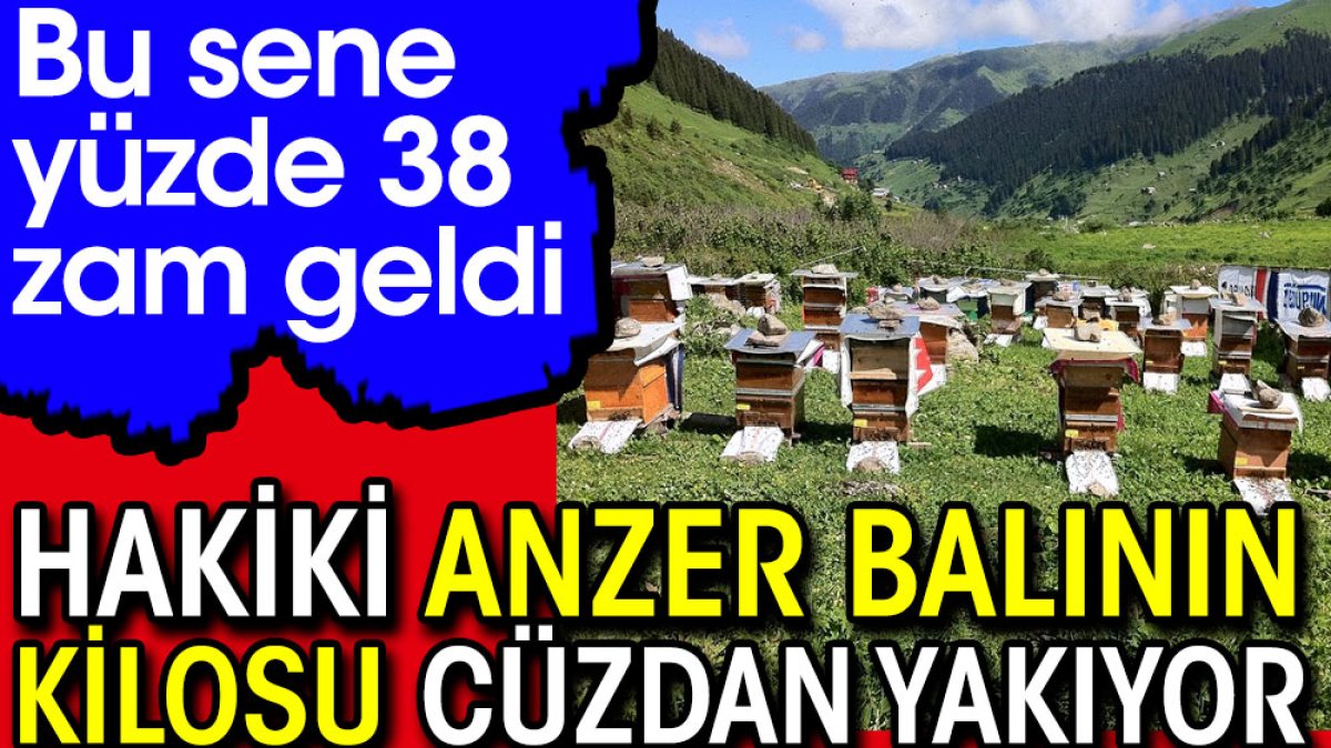 Hakiki Anzer balının kilosu cüzdan yakıyor. Yüzde 38 zam geldi