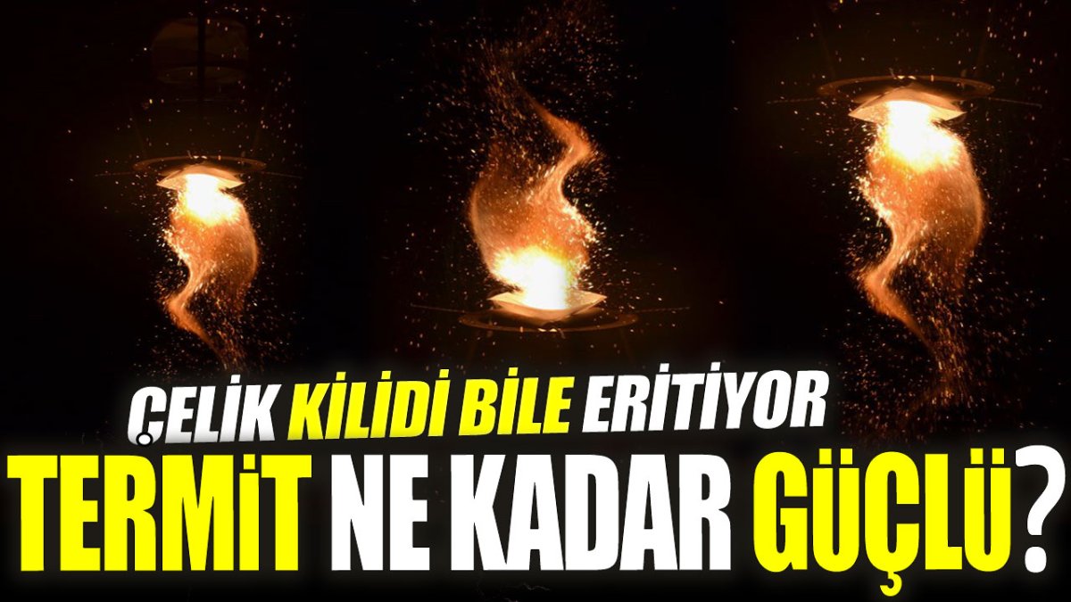 Termit ne kadar güçlü? Çelik kilidi bile eritiyor