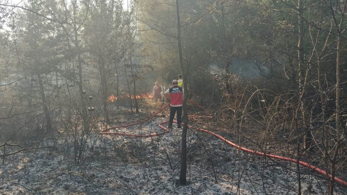 Sakarya'da ormanlık alanda korkutan yangın