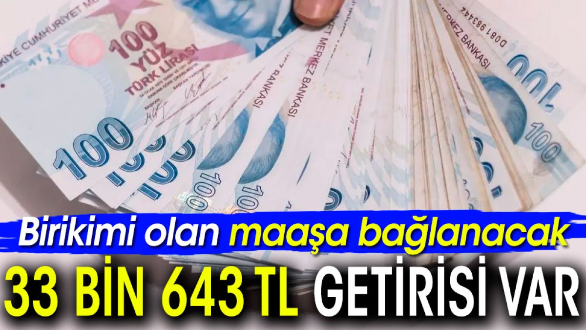 Birikimi olan maaşa bağlanacak. 33 bin 643 TL getirisi var