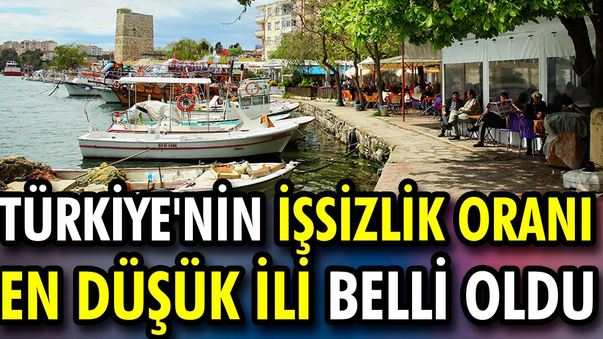 Türkiye'nin işsizlik oranı en düşük ili belli oldu