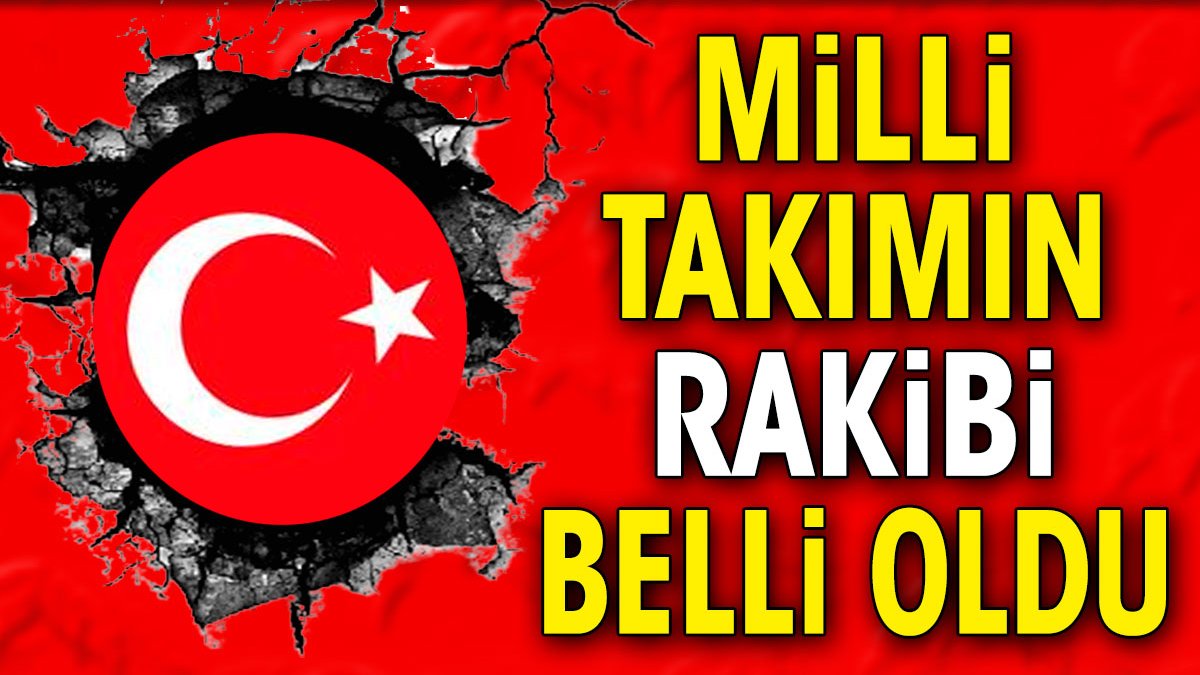 Milli takımın rakibi belli oldu